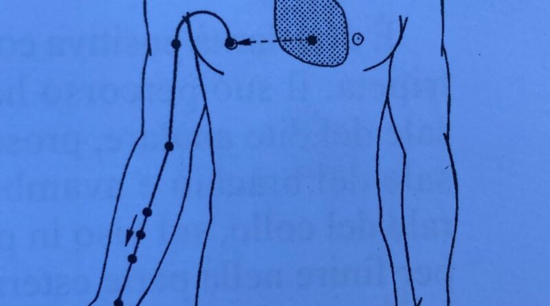 Protetto: Meridiano del cuore